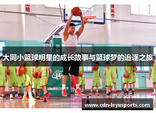 大同小篮球明星的成长故事与篮球梦的追逐之旅