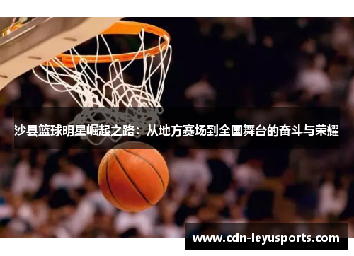 沙县篮球明星崛起之路：从地方赛场到全国舞台的奋斗与荣耀