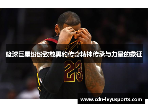 篮球巨星纷纷致敬黑豹传奇精神传承与力量的象征