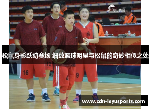 松鼠身影跃动赛场 细数篮球明星与松鼠的奇妙相似之处